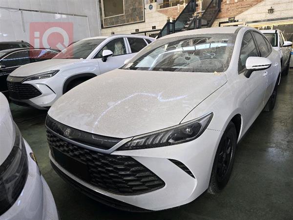 بي واي دي Qin Plus 2025 للبيع في العراق -  بغداد